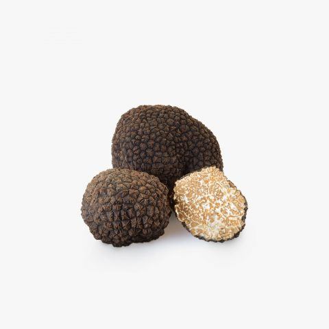 fresh-black-summer-truffle-Tartuber