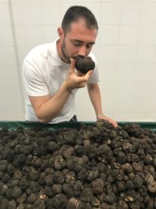 Staff Tartuber che annusa il Tartufo nero estivo fresco appena raccolto
